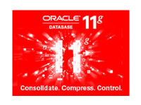 Oracle 11g 标准版北京91000元