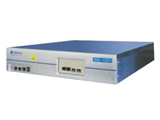 网康NI5110(800-1500用户)