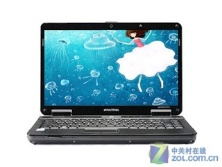 eMachines D525(311G25Ci)