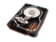 ϣ 146GB/10K/ (ST3146807FC)