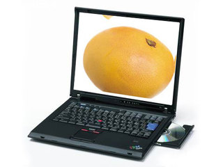 IBM ThinkPad T43p 2668A14