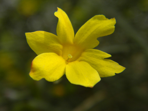 15���������� С�ɳ����῵L110���� 