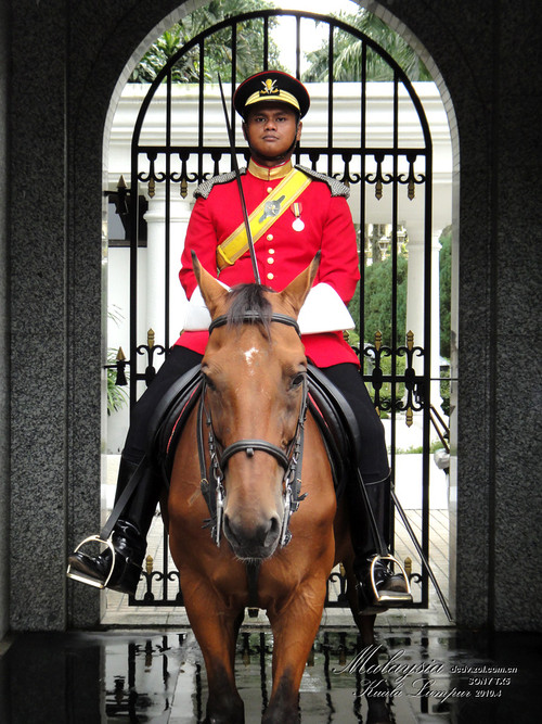 ����TX5������������ 