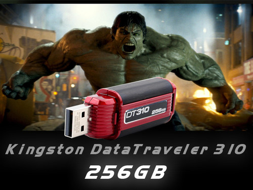  ʿ256Gȫײ 