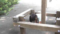 ����DV���� 