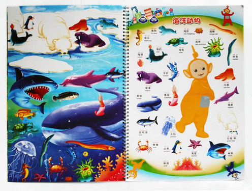 神奇的大自然纽曼天线宝宝有声挂图之趣味世界