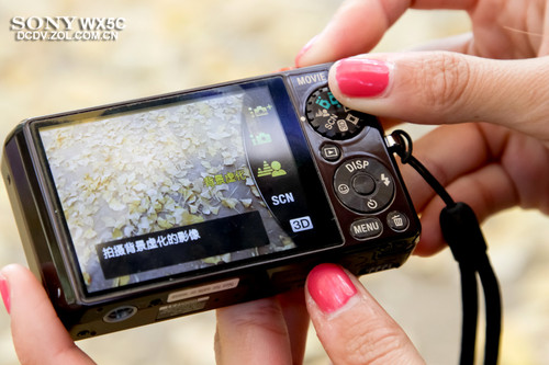 WX5 