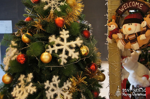 ���������ʥ���� ����NEX5���������� 