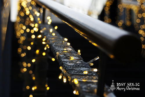 ���������ʥ���� ����NEX5���������� 