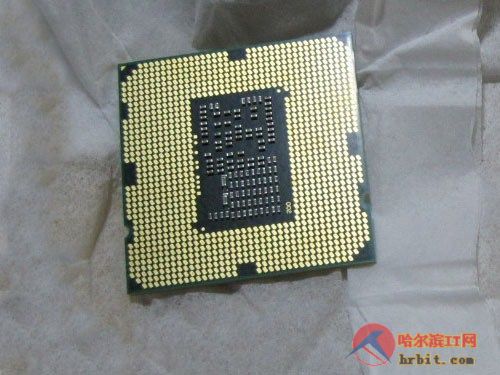 【高清图】 3.2ghz高主频 酷睿i3-550悄然到冰城图2