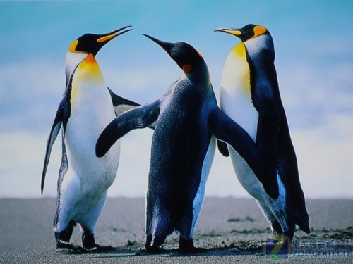 3DӰԺ콢 VW90ESͶЧͼ