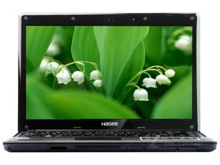  A420P-i3 D2