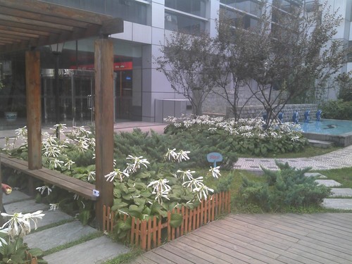 OPhone2.5�������� TD��Ʒ��˶T20���� 