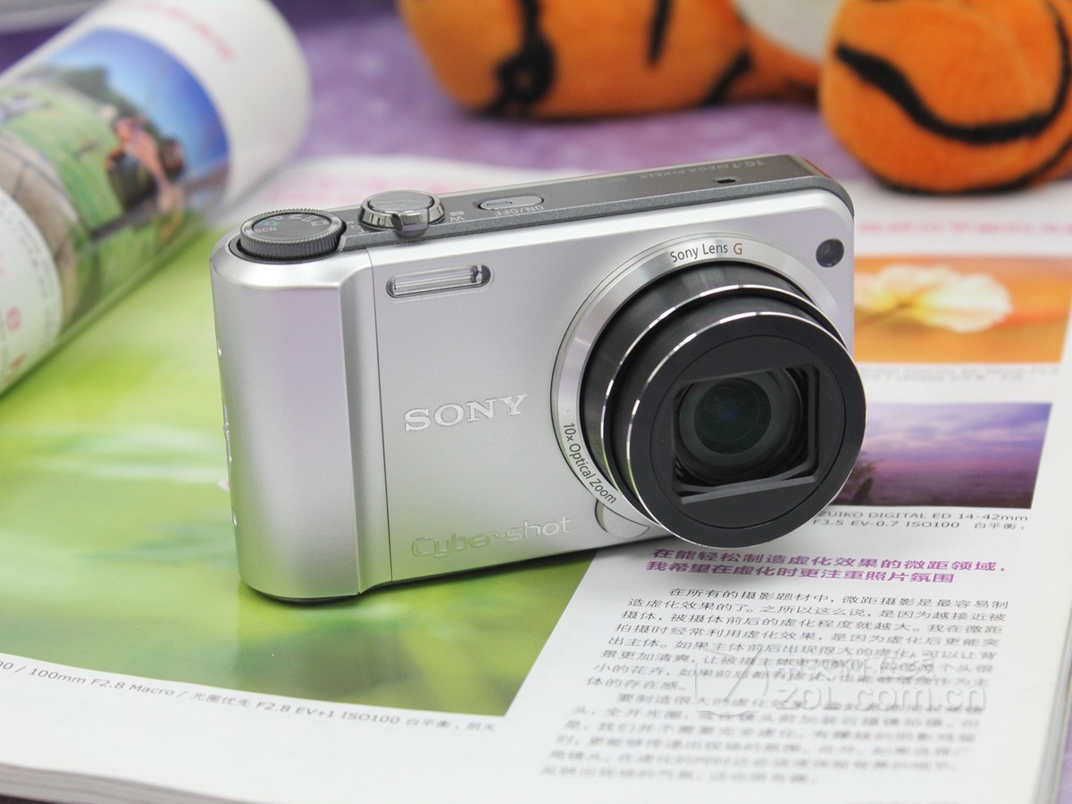 【高清图】 索尼(sony)h70实拍图 图100