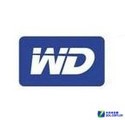 �������� ���һ����"WD�չ���"ʼĩ 