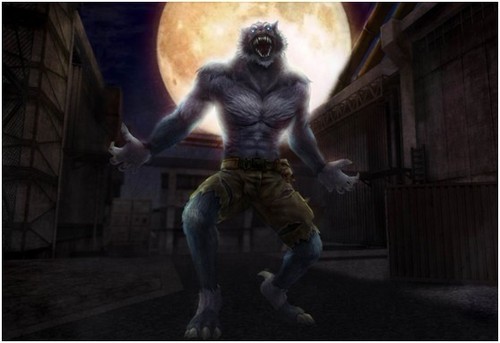 我才是真正的狼王,人类们小心了!