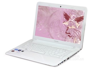 ֥M800-T03W(ѩ)