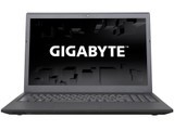 P15F V5(8GB/1TB)