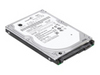 IBM Ӳ�� 43N3403 320GB