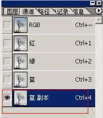 13764762169175.jpg